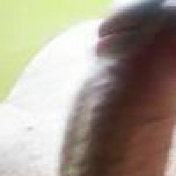 andreiadi232's Avatar