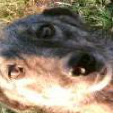 emachines's Avatar