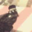 redonsun's Avatar
