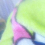 petsexy69's Avatar