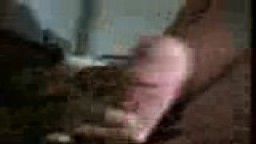 Thumb 7