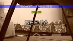 Thumb 11