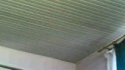 Thumb 20