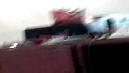 Thumb 13