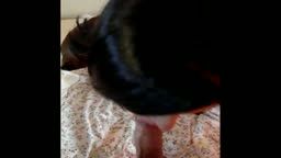 Thumb 16