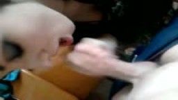 Thumb 17