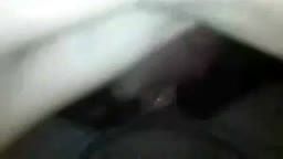 Thumb 15